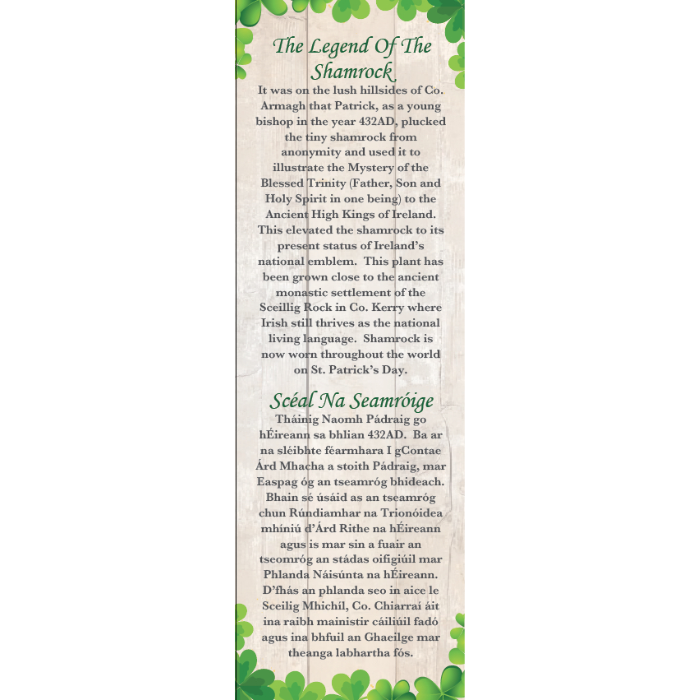 Fresh Irish Shamrock x 1 (includes packing, delivery & applicable international tariffs)