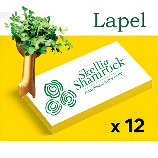 Fresh Irish Shamrock x 12  (includes packing, delivery & applicable international tariffs)