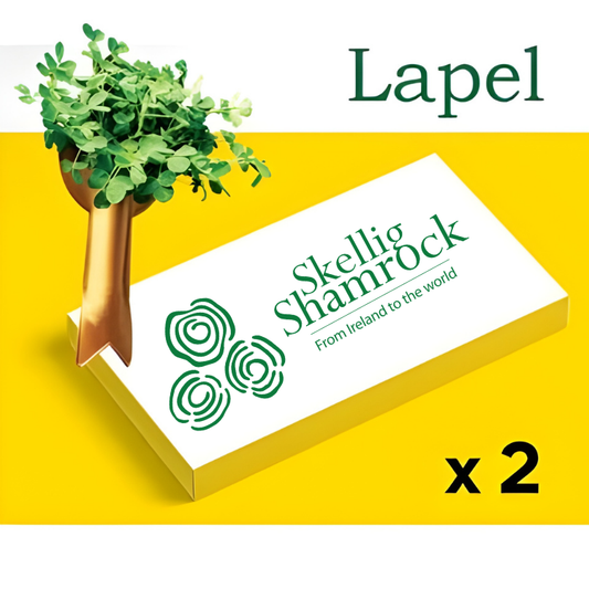 Fresh Irish Shamrock x 2  (includes packing, delivery & applicable international tariffs)