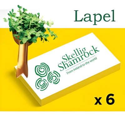 Fresh Irish Shamrock x 6  (includes packing, delivery & applicable international tariffs)