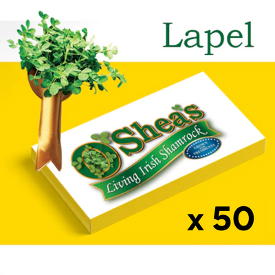 Fresh Irish Shamrock x 50